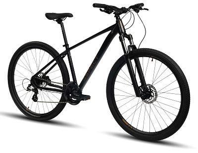 Превью  Велосипед ASPECT Nickel 29 (2024)